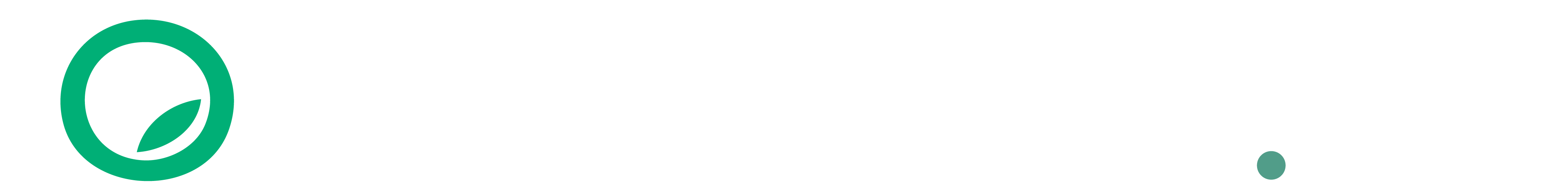 Organiko.ai Logo